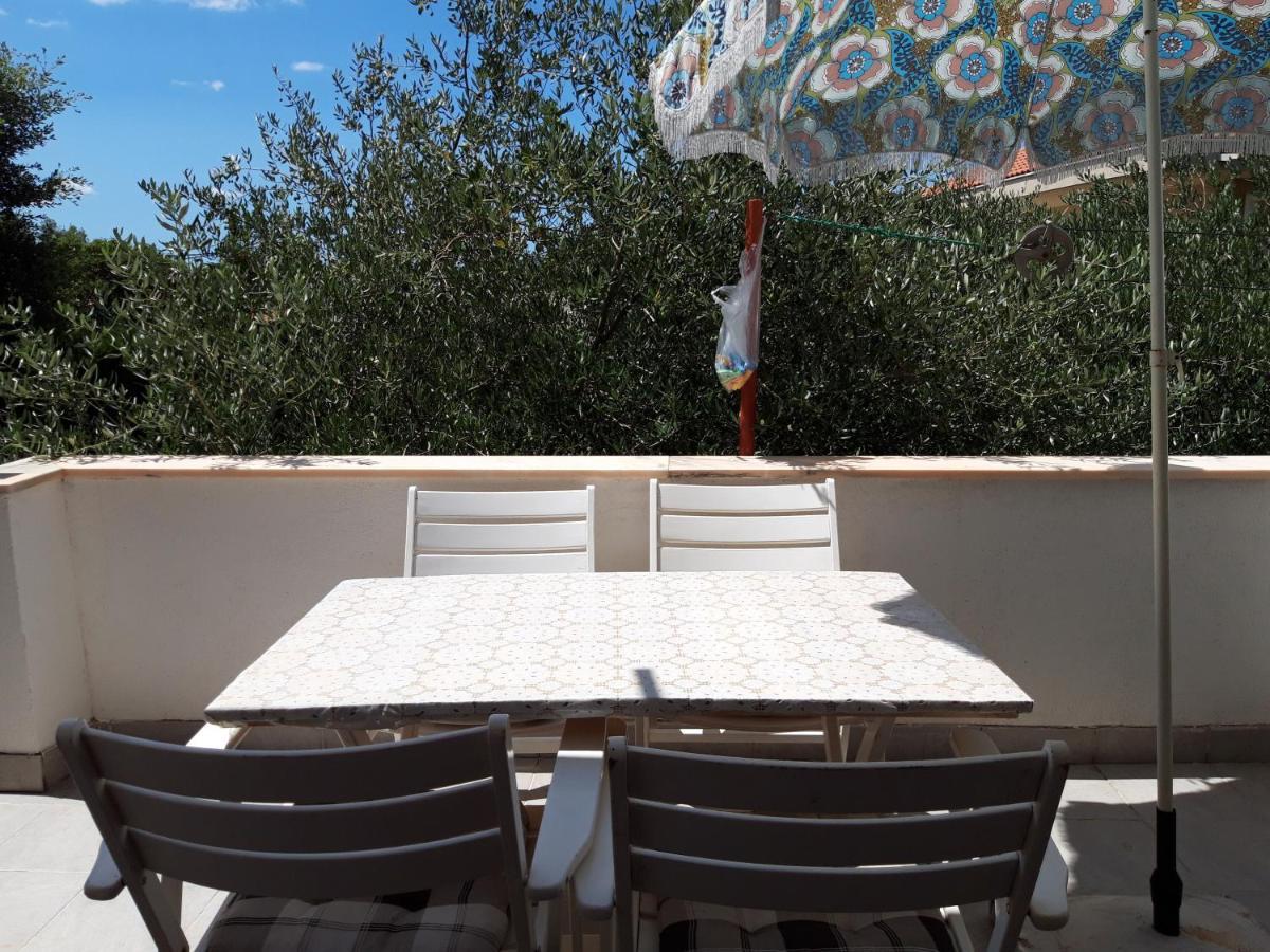 Apartments Ivana Diklo Zadar Eksteriør bilde